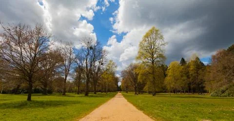 Tranquil yellow pathway surrounded by trees with a dramatic sky Stock Photos
