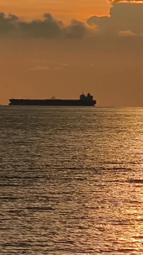 Tranquility and Freedom at Sea Sunset Video stock 342324408