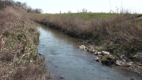 Tranquility on the banks of the small river Stock Footage 148203432