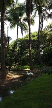 Tranquility in the countryside Stock Photos