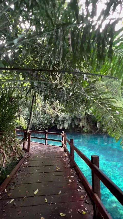 A tranquility Stock Footage 242208423