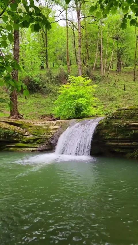 Tranquility Is Here Vídeo Stock 275126659