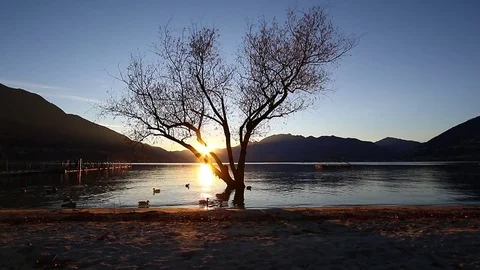 Tranquility of a lakeside sunset 스톡 동영상 73581153