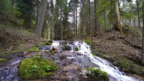 Tranquility of nature Stock-Footage 106585367
