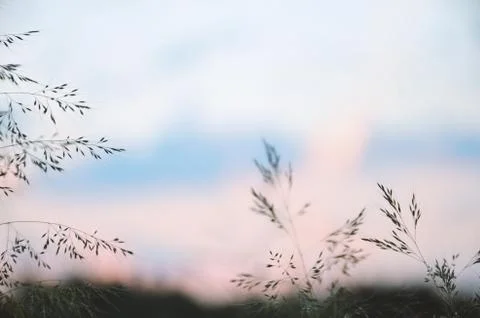 Tranquility of nature Stock Photos