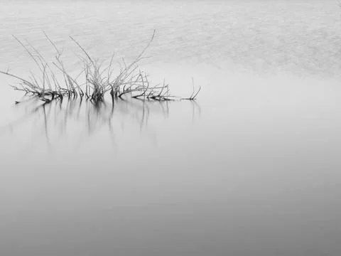 Tranquility Stock Photos
