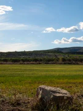 Tranquility 스톡 사진