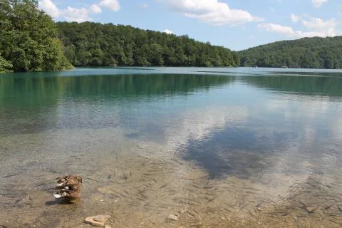 Tranquility Stock Photos