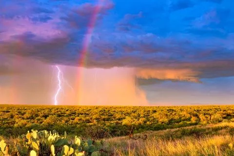 Tranquility Stock Photos