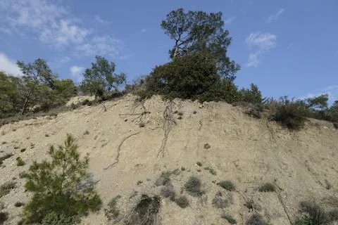 Tranquility Stock Photos