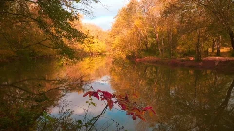 Tranquility of the river Stock Footage 143616923