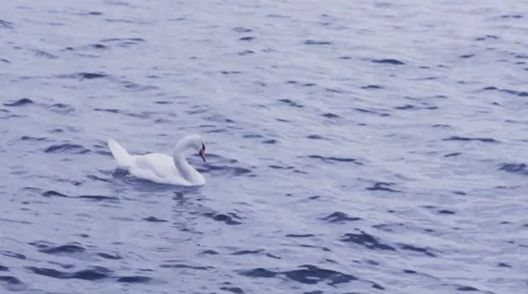 Tranquility in a rough sea 스톡 동영상 44058701