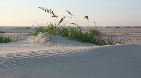 Tranquility sand dunes, Brunswick County, NC Stock Footage 36953582