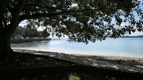 Tranquility by the sea - Devonport Stock Footage 232060021