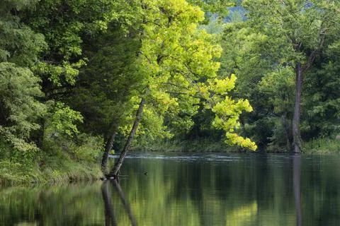 Tranquility seen in this nature scene along a riverbank in Tennessee Stock Photos