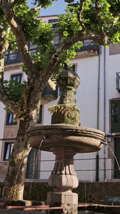 Tranquility Unveiled: Exploring the Baroque Beauty of an Old Town Square Stock Footage 247493924