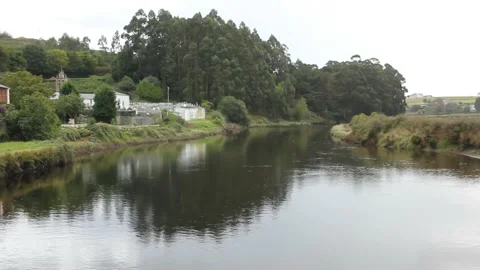 The tranquility of walking near the river Stock Footage 234593636