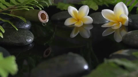 Tranquility water pool, single drop of water falling from bamboo Stock Footage 228714407