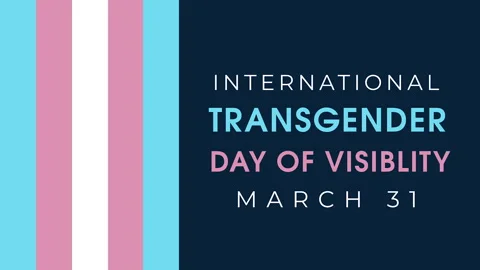 Trans Day Of Visibility text animation 4k video Stock Footage 265673554