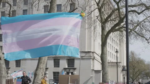 Trans flag waving at protest 動画素材 259687308