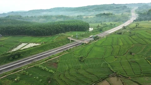 Trans-Java highway slash into extensive paddy rice cultivation area Stock Footage 277104530