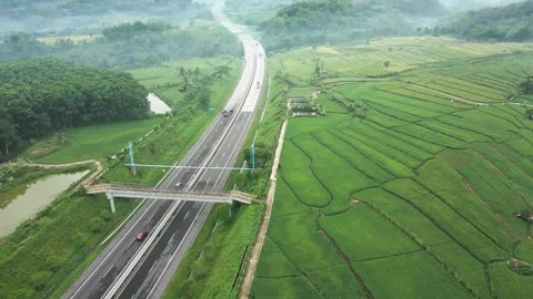 Trans-Java highway slash into extensive paddy rice cultivation area Stock Footage 277104810