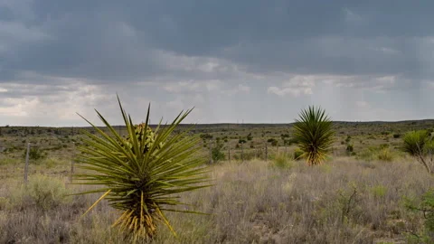 Trans-Pecos Monsoon Timelapse Stock Footage 167525679