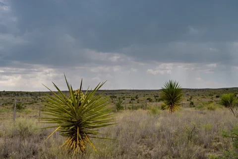 Trans-Pecos Monsoon Timelapse Stock Footage 167526329