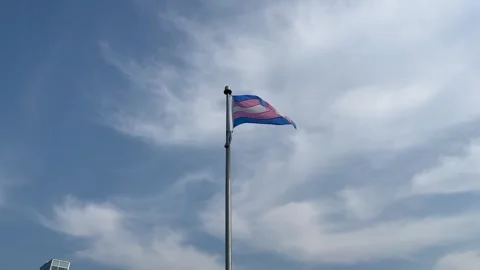  Trans Pride flag on a flag pole Stock-Footage 245044107
