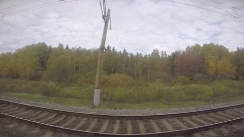 Trans-Siberian Railway: Multi-Layered Siberian Forest Landscape Stock Footage 81810359