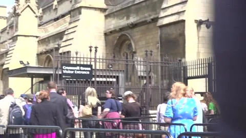 Trans + Solidarity Alliance queue for lobbying event in Parliament  Stock Footage 311938330