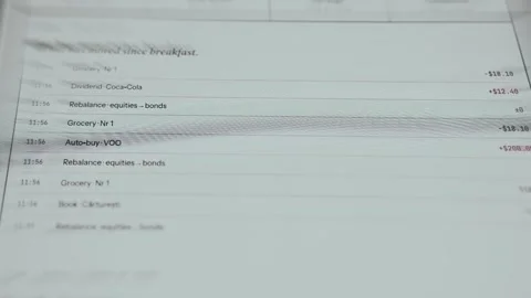 Transaction log displaying various personal financial activities Stock Footage 335896030