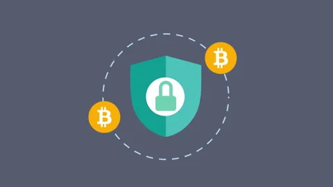 Transaction security with shield, padlock and bitcoin 2d with Alpha Matte Stock Footage 335800843