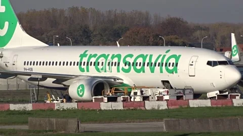 Transavia Boeing 737 Parked at Brussels airport belgium Stock Footage 231636767