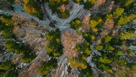 TransBucegi Road, Romania Stock Footage 233917023