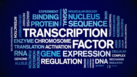 Transcription Factor animated word cloud,animation kinetic typography loop. Stock Footage 311421679