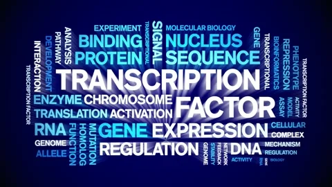 Transcription Factor animated word cloud,animation kinetic typography loop. Stock Footage 311421752