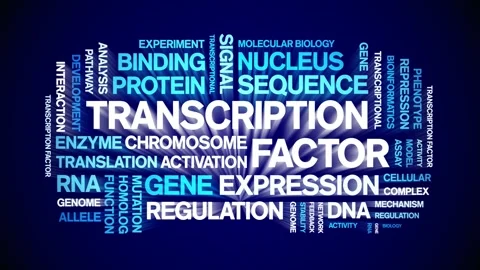 Transcription Factor animated word cloud,animation kinetic typography loop. Stock Footage 311421763