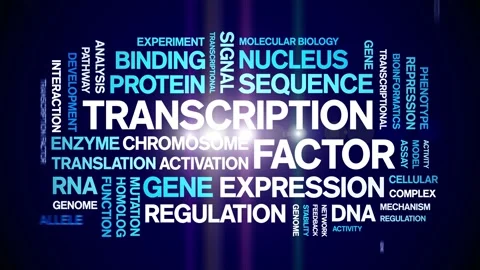 Transcription Factor animated word cloud,animation kinetic typography loop. Stock Footage 311421773
