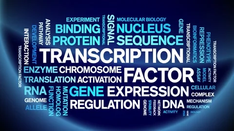 Transcription Factor animated word cloud,animation kinetic typography loop. Stock Footage 311421793