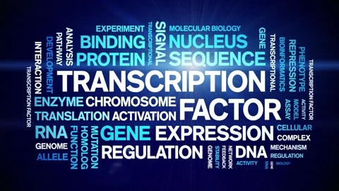 Transcription Factor animated word cloud,animation kinetic typography loop. Stock Footage 311421820