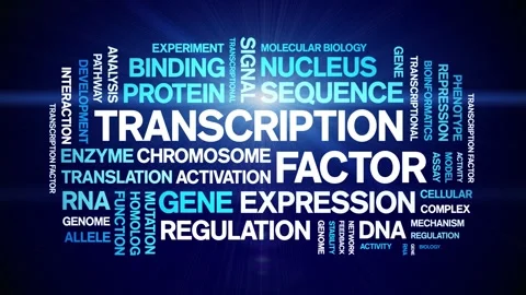 Transcription Factor animated word cloud,animation kinetic typography loop. Stock Footage 311421828