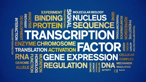 Transcription Factor animated word cloud,animation kinetic typography loop. Stock Footage 311421853