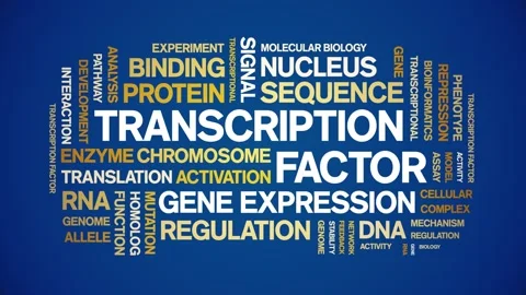 Transcription Factor animated word cloud,animation kinetic typography loop. Stock Footage 311421894