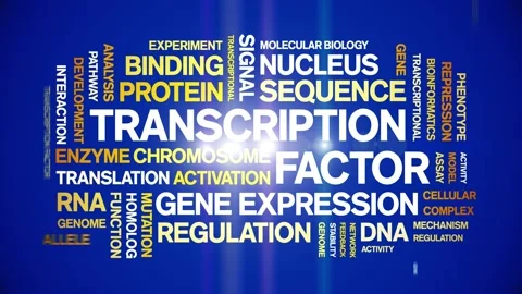 Transcription Factor animated word cloud,animation kinetic typography loop. Stock Footage 311421925