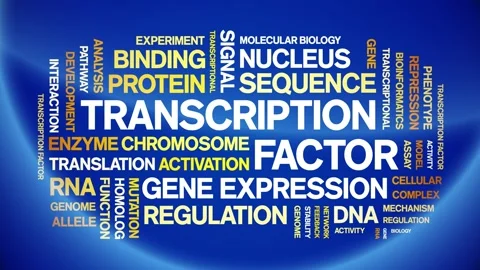 Transcription Factor animated word cloud,animation kinetic typography loop. Stock Footage 311421962