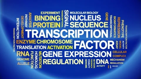 Transcription Factor animated word cloud,animation kinetic typography loop. Stock Footage 311422047