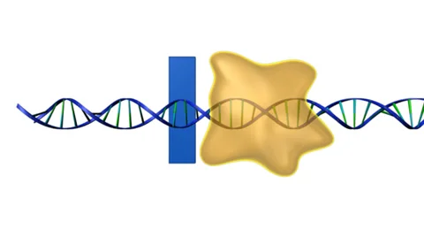 Transcription unit in gene expression Stock Footage 38981151
