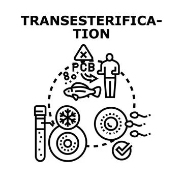 Transesterification process creating future energy bio fuel Stock Illustration