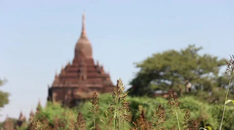 Transfer focus from grass to the  Sulamani Temple Video stock 34130174
